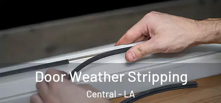  Door Weather Stripping Central - LA