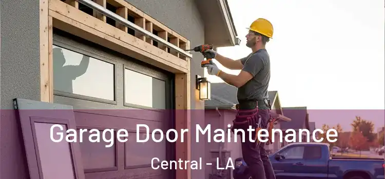Garage Door Maintenance Central - LA