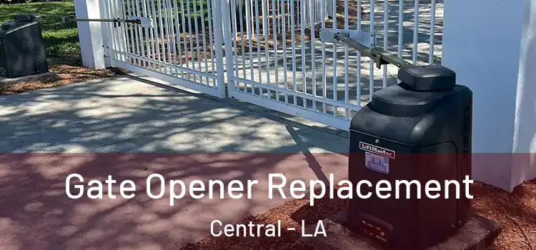 Gate Opener Replacement Central - LA
