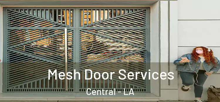 Mesh Door Services Central - LA