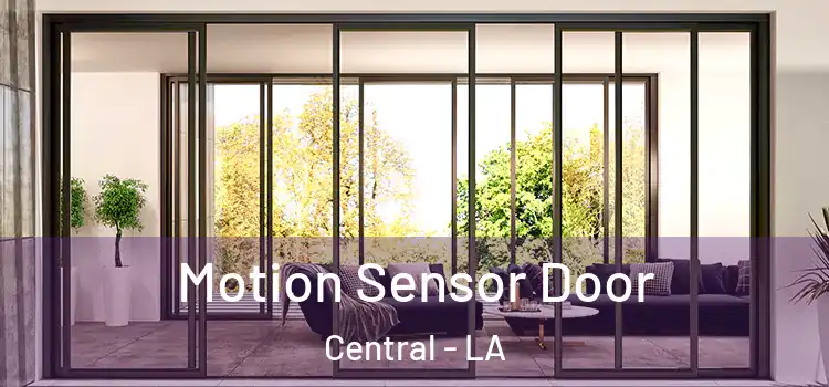 Motion Sensor Door Central - LA